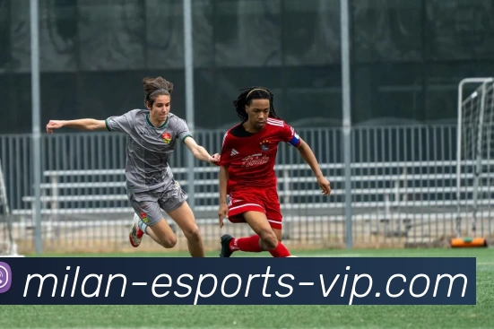 米兰电竞VIP服务体系